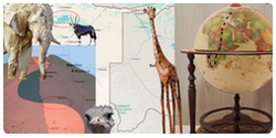 Le Prénom de la Girafe